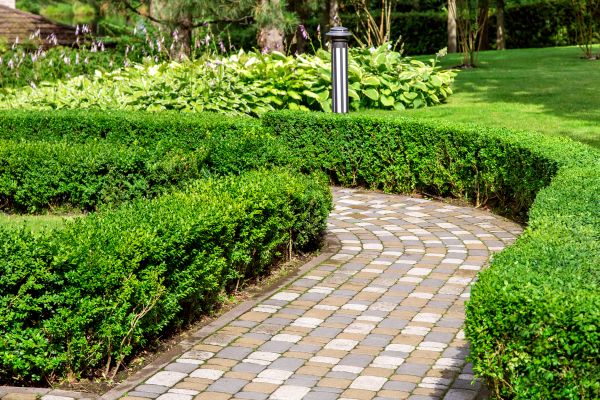 Cost of Paved Landscaping in O Fallon