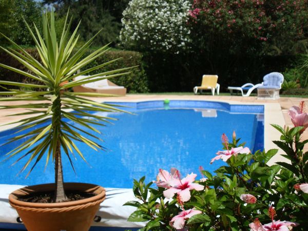 Cost of Pool Terrace Renovation in O Fallon